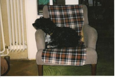 Dyk har vaknat till lite grand.